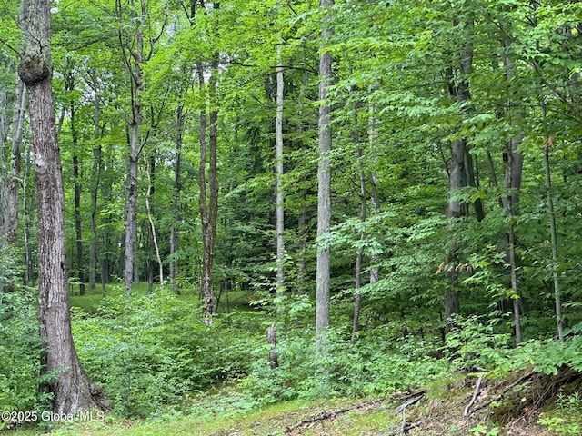 70 Cp A Way, Hartford, NY 12832 - view of wooded area