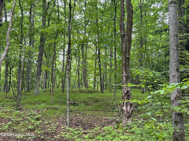 70 Cp A Way, Hartford, NY 12832 - view of woods