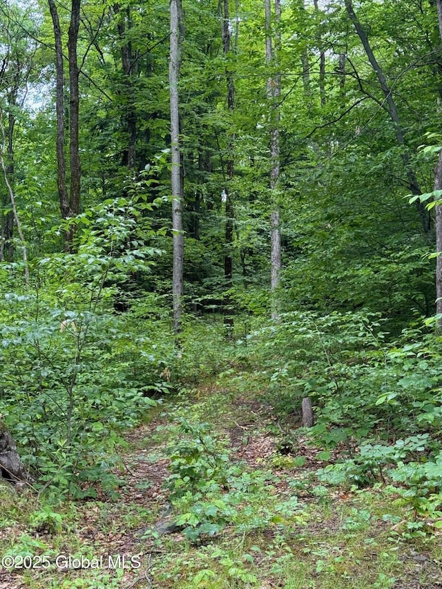 70 Cp A Way, Hartford, NY 12832 - view of tree filled area