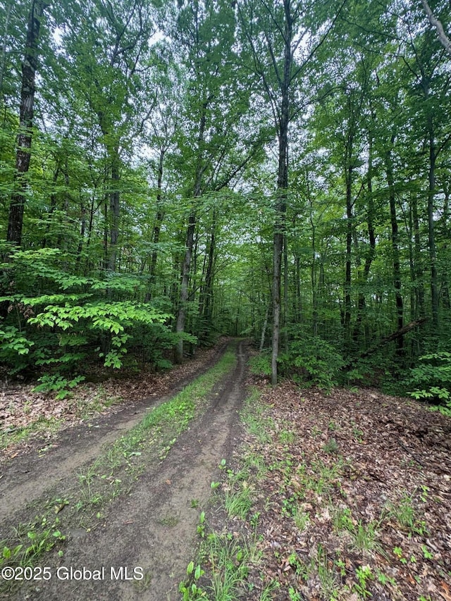 70 Cp A Way, Hartford, NY 12832 - view of woods