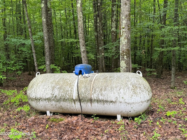 70 Cp A Way, Hartford, NY 12832 - exterior view of propane tank