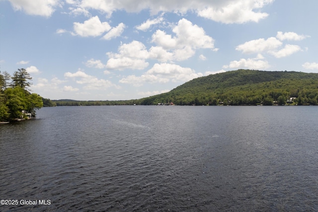 3100 State Highway 10, Caroga, NY 12032