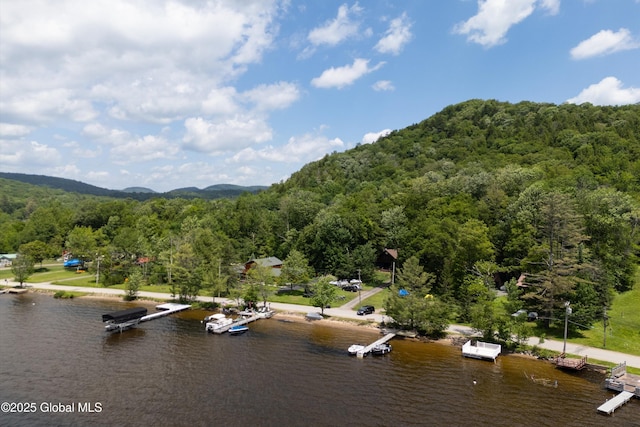 3100 State Highway 10, Caroga, NY 12032