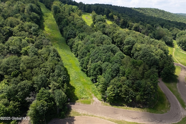 3100 State Highway 10, Caroga, NY 12032