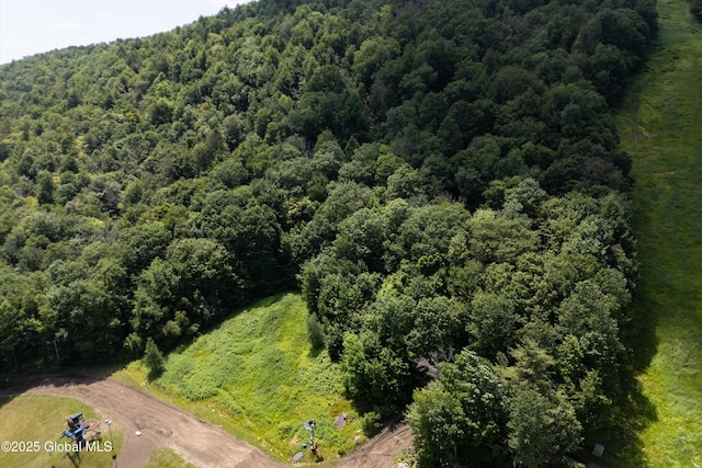 3100 State Highway 10, Caroga, NY 12032