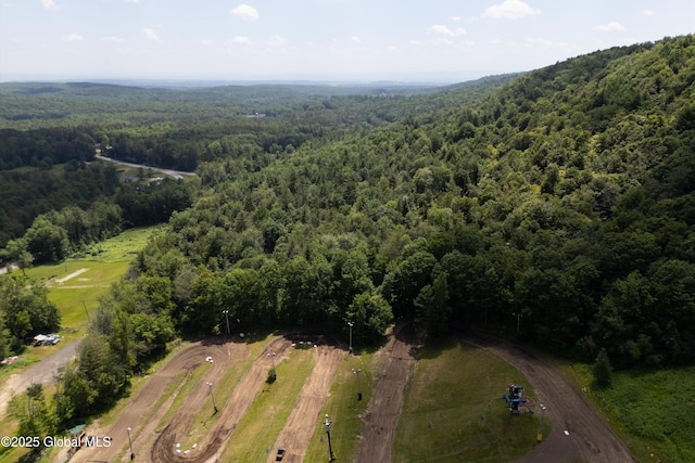 3100 State Highway 10, Caroga, NY 12032