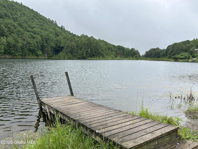 11 Ridgecrest Way, Hampton, NY 12887 - dock area with a water view and a wooded view
