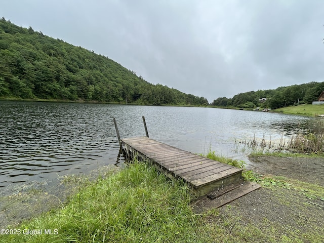11 Ridgecrest Way, Hampton, NY 12887 - dock with a water view and a view of trees