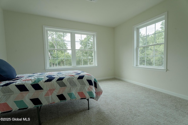 418 Summit Ave, Schenectady, NY 12307 - carpeted bedroom with baseboards
