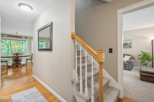 17 White Birch Ln, Wilton, NY 12831 - photo 13
