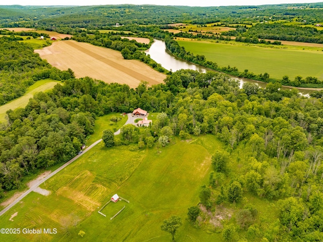 2560 Creek Rd, Esperance, NY 12066 - overview of rural landscape with a large body of water