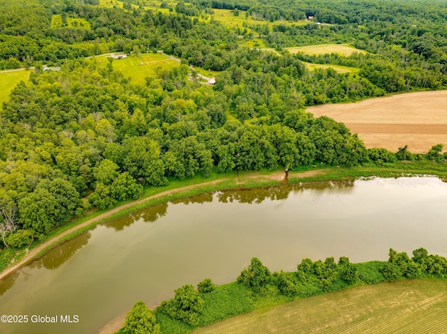 2560 Creek Rd, Esperance, NY 12066 - drone / aerial view of a nearby body of water and a heavily wooded area