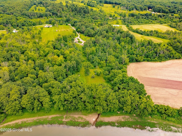 2560 Creek Rd, Esperance, NY 12066 - aerial view of a forest