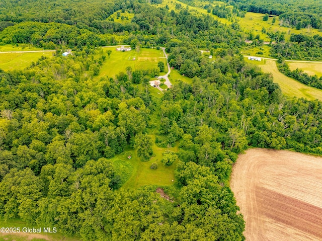 2560 Creek Rd, Esperance, NY 12066 - aerial view of a heavily wooded area