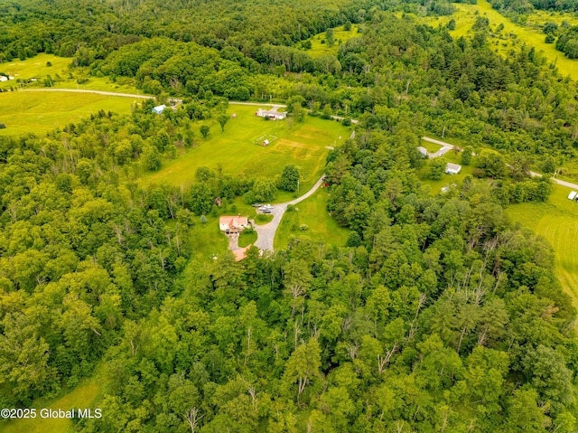 2560 Creek Rd, Esperance, NY 12066 - aerial view of a heavily wooded area