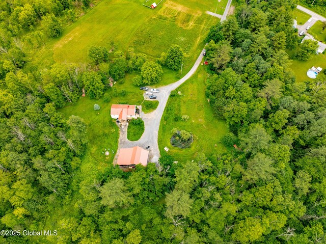 2560 Creek Rd, Esperance, NY 12066 - bird's eye view