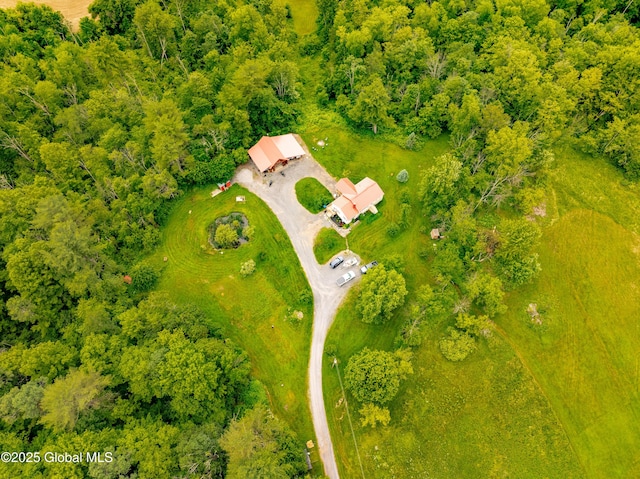 2560 Creek Rd, Esperance, NY 12066 - bird's eye view