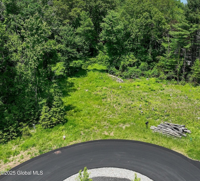 23 Steeple View Dr, Colonie, NY 12211 - view of yard