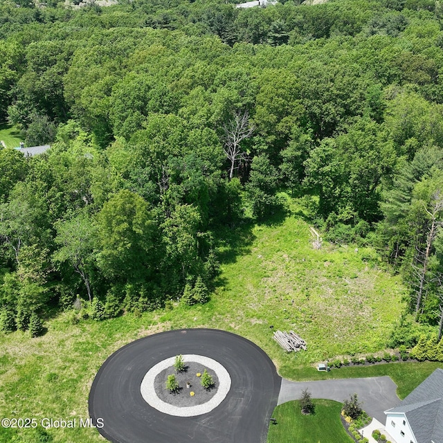 23 Steeple View Dr, Colonie, NY 12211 - drone / aerial view of a forest