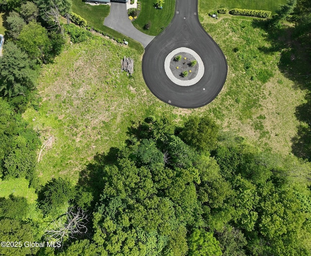 23 Steeple View Dr, Colonie, NY 12211 - view of property location