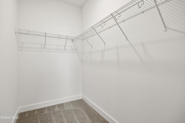 1D Brison Ave, North Greenbush, NY 12180 - photo 29