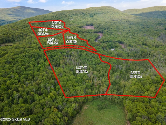 9 Galway Rd, Windham, NY 12496