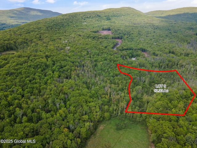 9 Galway Rd, Windham, NY 12496
