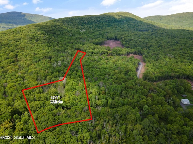 9 Galway Rd, Windham, NY 12496