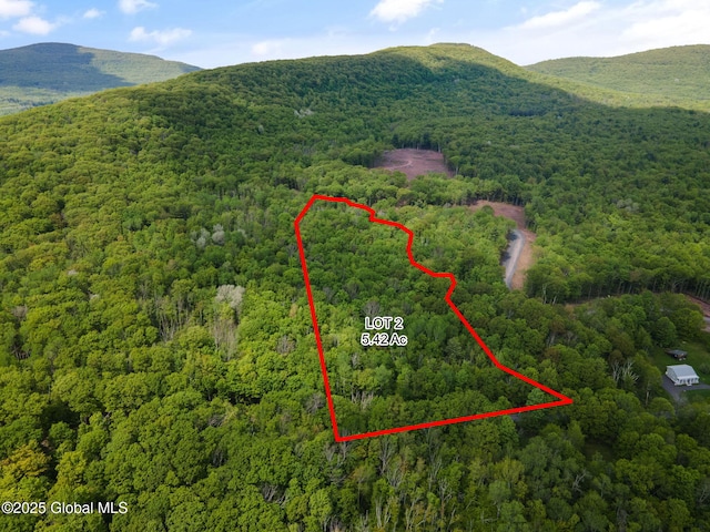 9 Galway Rd, Windham, NY 12496