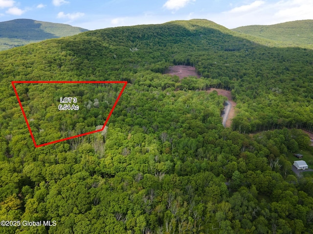 9 Galway Rd, Windham, NY 12496