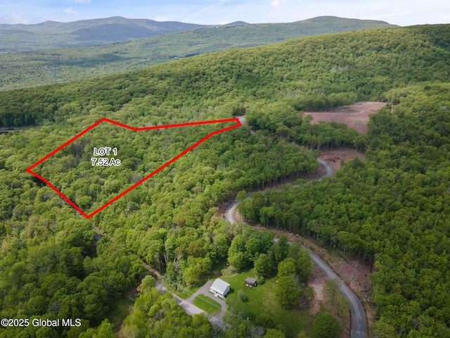 9 Galway Rd, Windham, NY 12496