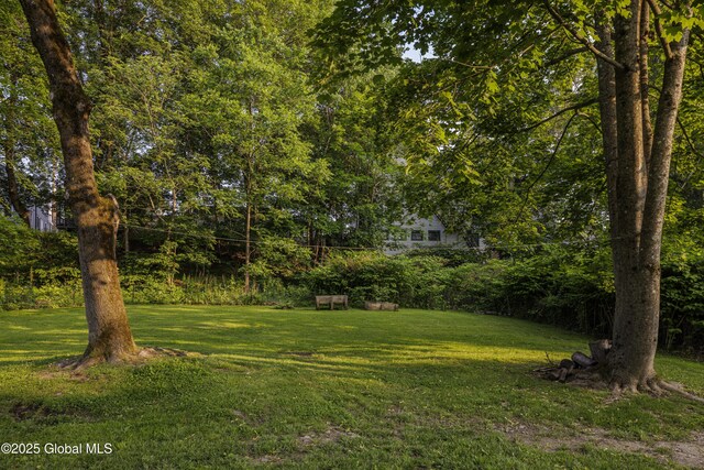 12 Mill St, Chatham, NY 12037 - view of green lawn