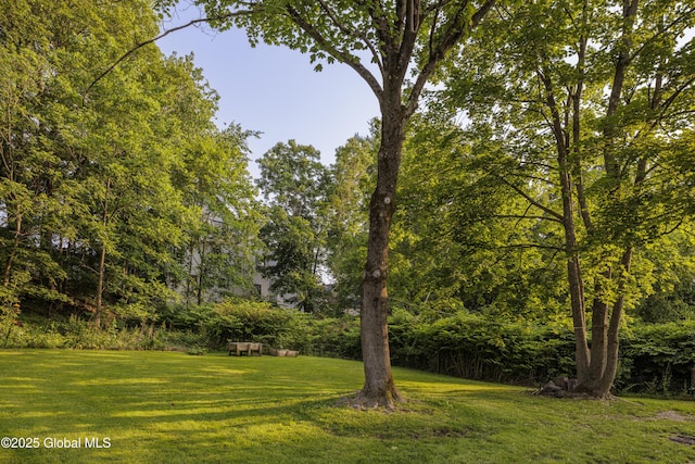 12 Mill St, Chatham, NY 12037 - view of green lawn