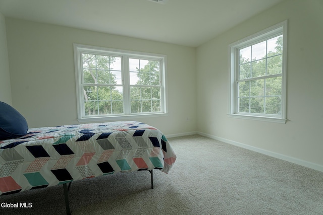 422 Summit Ave, Schenectady, NY 12307 - carpeted bedroom featuring multiple windows
