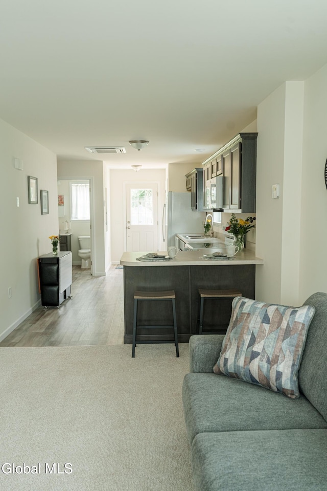 422 Summit Ave, Schenectady, NY 12307 - living area with light wood-style floors and light colored carpet