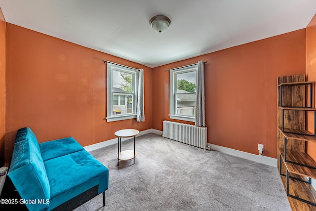 107 Frederick Ave, Colonie, NY 12205 - sitting room with radiator heating unit and carpet