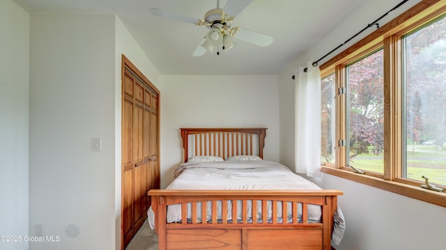 324 Elsmere Ave, Bethlehem, NY 12054 - bedroom featuring a closet, ceiling fan, and carpet