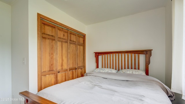 324 Elsmere Ave, Bethlehem, NY 12054 - bedroom with a closet