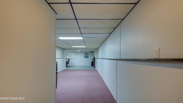 324 Elsmere Ave, Bethlehem, NY 12054 - hall featuring a drop ceiling and carpet floors