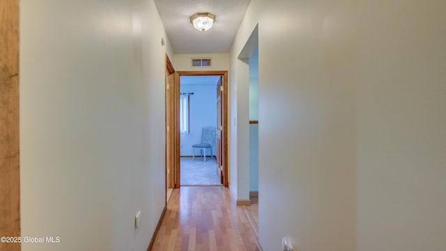 324 Elsmere Ave, Bethlehem, NY 12054 - hallway with light wood-style flooring