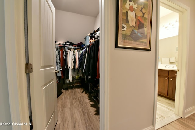 16 Anthony Pl, Ballston, NY 12020 - walk in closet featuring light wood-style flooring and a sink