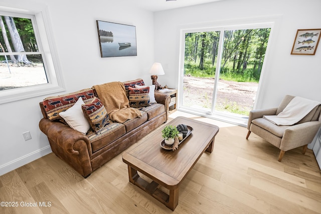 19 Forest Rd, Queensbury, NY 12845 - living room featuring light wood-style flooring and baseboards