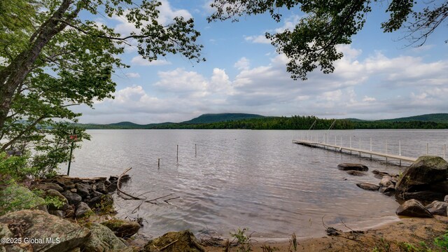 2765 State Route 8, Speculator, NY 12164 - photo 8