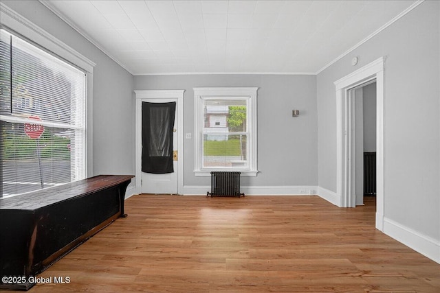 329 E Main St, Amsterdam, NY 12010 - spare room featuring radiator heating unit, crown molding, and light wood-style flooring