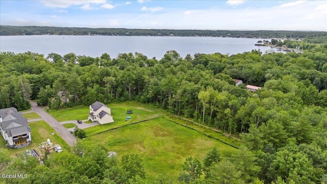 24 Locust Rd, Malta, NY 12020 - photo 3