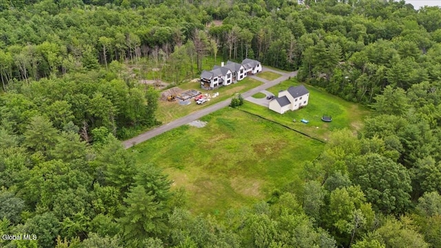 24 Locust Rd, Malta, NY 12020 - photo 22