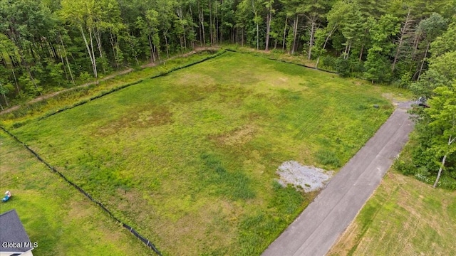 24 Locust Rd, Malta, NY 12020 - photo 21