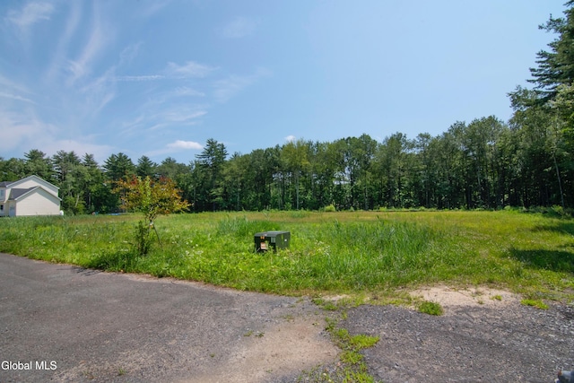 24 Locust Rd, Malta, NY 12020 - photo 25