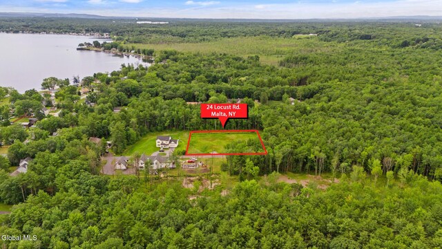 24 Locust Rd, Malta, NY 12020 - photo 2