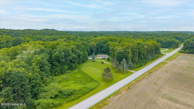 585 Logtown Rd, Glen, NY 12072 - aerial view of a forest